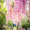 The Grounds of Alexandriaの写真_450180