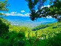 ほったらかし温泉の写真_451098
