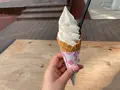 笛吹川フルーツ公園の写真_451144