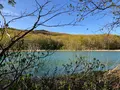 御在所園地・御在所湿原の写真_452032