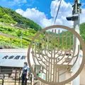 大歩危駅の写真_452055