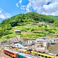 大歩危駅の写真_452056