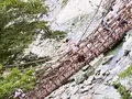 祖谷のかずら橋の写真_452064