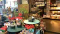果子乃季 総本店の写真_452148