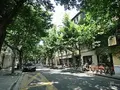武康庭の写真_452224