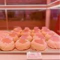 好利來 Holiland Pinkの写真_452353