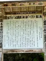 札所三十一番 観音院の写真_452482