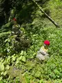 札所三十一番 観音院の写真_452491