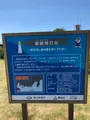 御前崎灯台の写真_452720