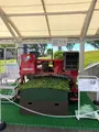 ふじのくに茶の都ミュージアムの写真_452743