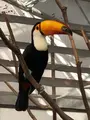 掛川花鳥園の写真_452763