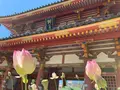 耕三寺・耕三寺博物館の写真_452971
