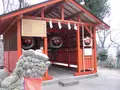 生國魂神社の写真_45300