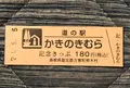 道の駅 かきのきむらの写真_453058