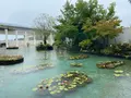大塚国際美術館の写真_453163
