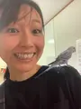 金川製茶の写真_453237
