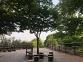 ハヌル公園/ハヌルコンウォン/하늘공원の写真_453779