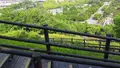 ハヌル公園/ハヌルコンウォン/하늘공원の写真_453780