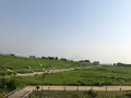ハヌル公園/ハヌルコンウォン/하늘공원の写真_453781