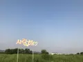ハヌル公園/ハヌルコンウォン/하늘공원の写真_453782