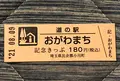 道の駅おがわまちの写真_453975
