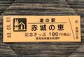 道の駅 赤城の恵の写真_453979