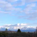 スターバックスコーヒー 富山環水公園店（STARBUCKS COFFEE）の写真_454078