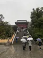 鶴岡八幡宮の写真_454589