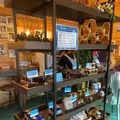 HoneyBee蜂優の写真_454925