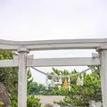 桂浜の写真_455269