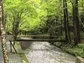 小國神社の写真_455488