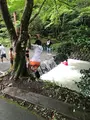 小國神社の写真_455489