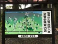 諏訪大社上社前宮の写真_455513
