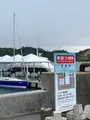 宮浦港の写真_455797