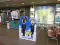 但馬飛行場（コウノトリ但馬空港）の写真_455873