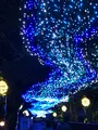 時之栖の写真_456007