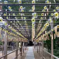 正寿院の写真_456016