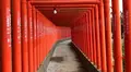 福徳稲荷神社の写真_456327