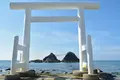 糸島市の写真_456387