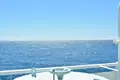 大島の写真_456412