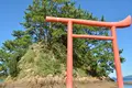大島の写真_456414