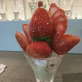 プリンス オブ ザ フルーツ （PRINCE of the FRUIT ）の写真_456424