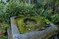 縁結び食堂 蕎麦 なみ満の写真_456464