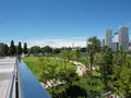 豊洲パークブリッジの写真_456731