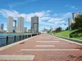 春海橋公園の写真_456732