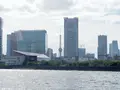 勝どき見晴らし公園の写真_456738
