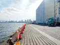 豊海埠頭の写真_456743