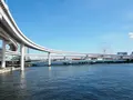 のぞみ橋の写真_456756