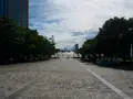 夢の大橋の写真_456758