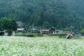 美山かやぶきの里の写真_457315